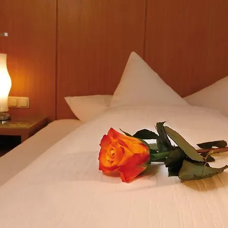 Hotel Zentrum 3*